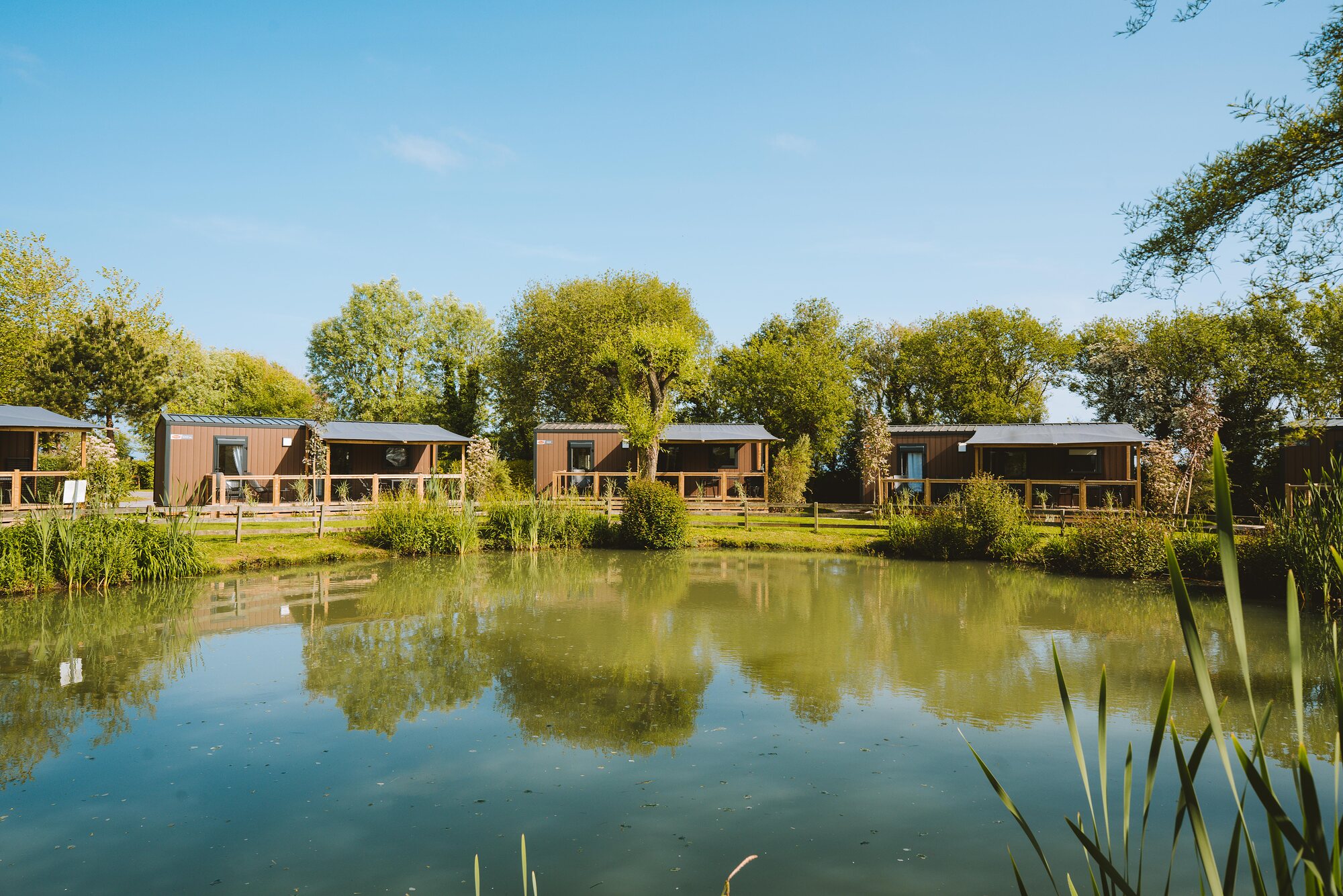 Premium-cottage met zicht op het meer voor 4 personen op Camping Portland, foto 10 van 14