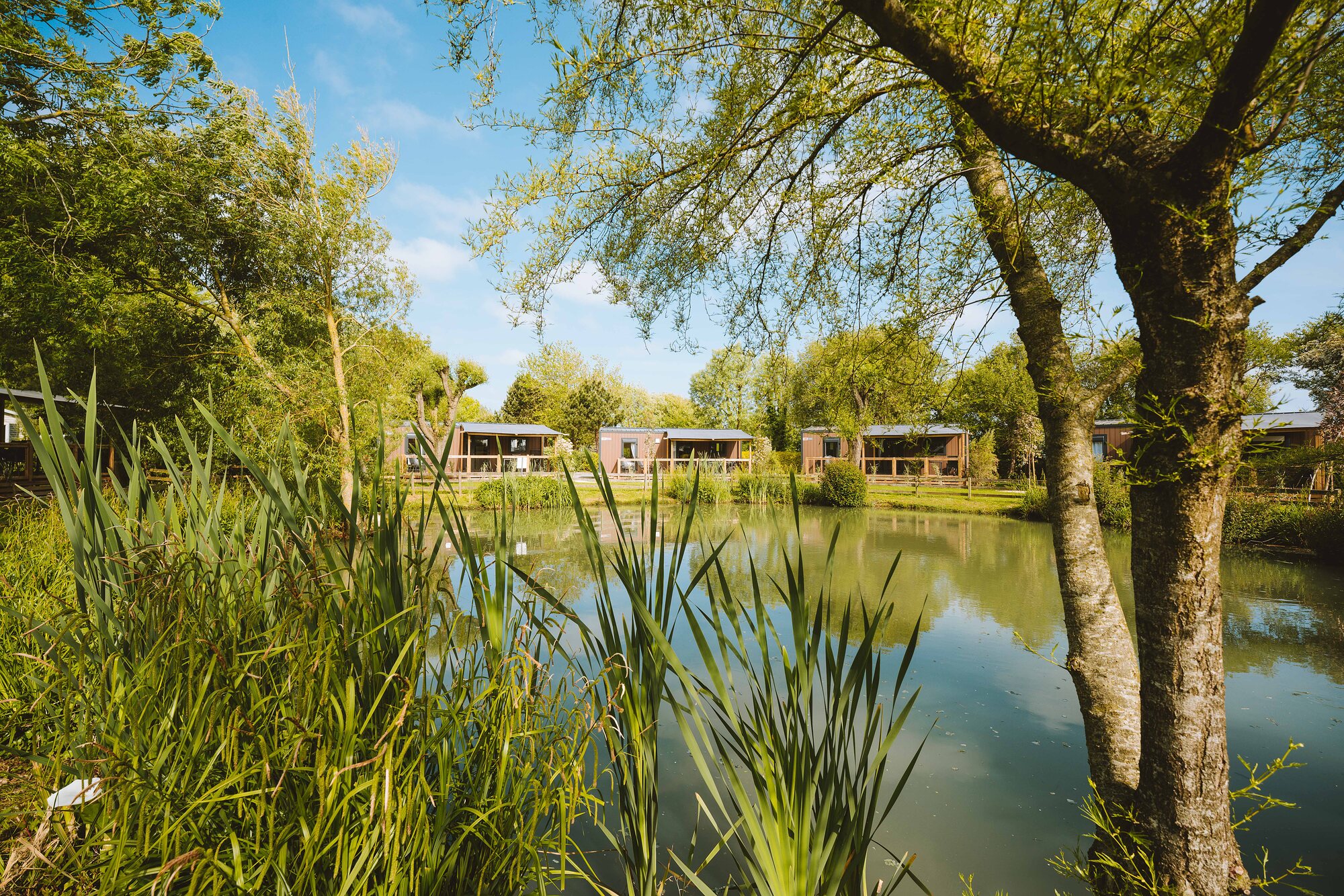 Premium-cottage met zicht op het meer voor 4 personen op Camping Portland, foto 11 van 14