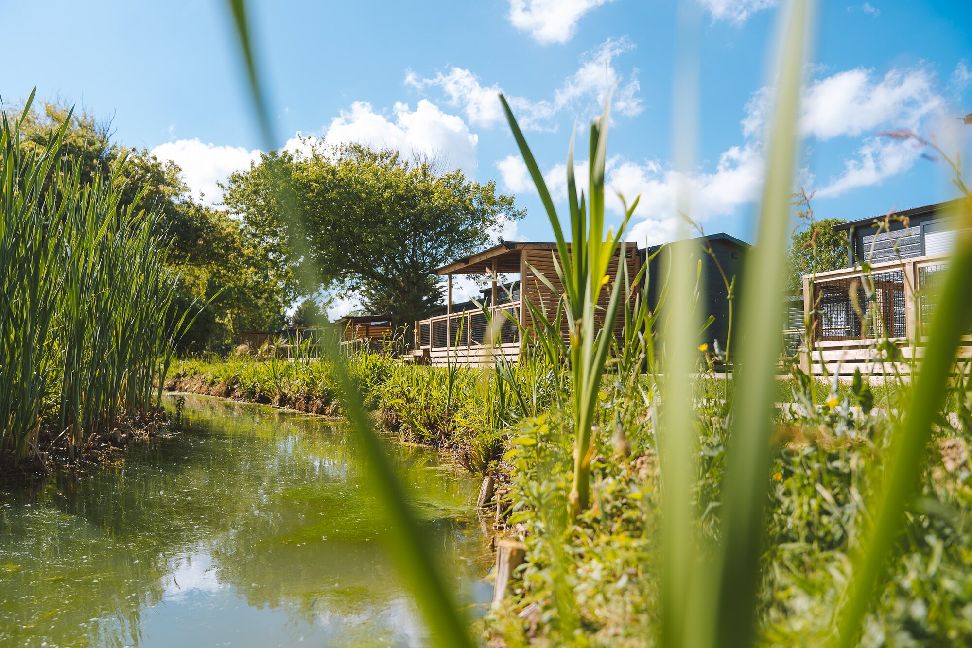 Premium-cottage Nautilhome voor 6 personen op Camping Portland, foto 9 van 9