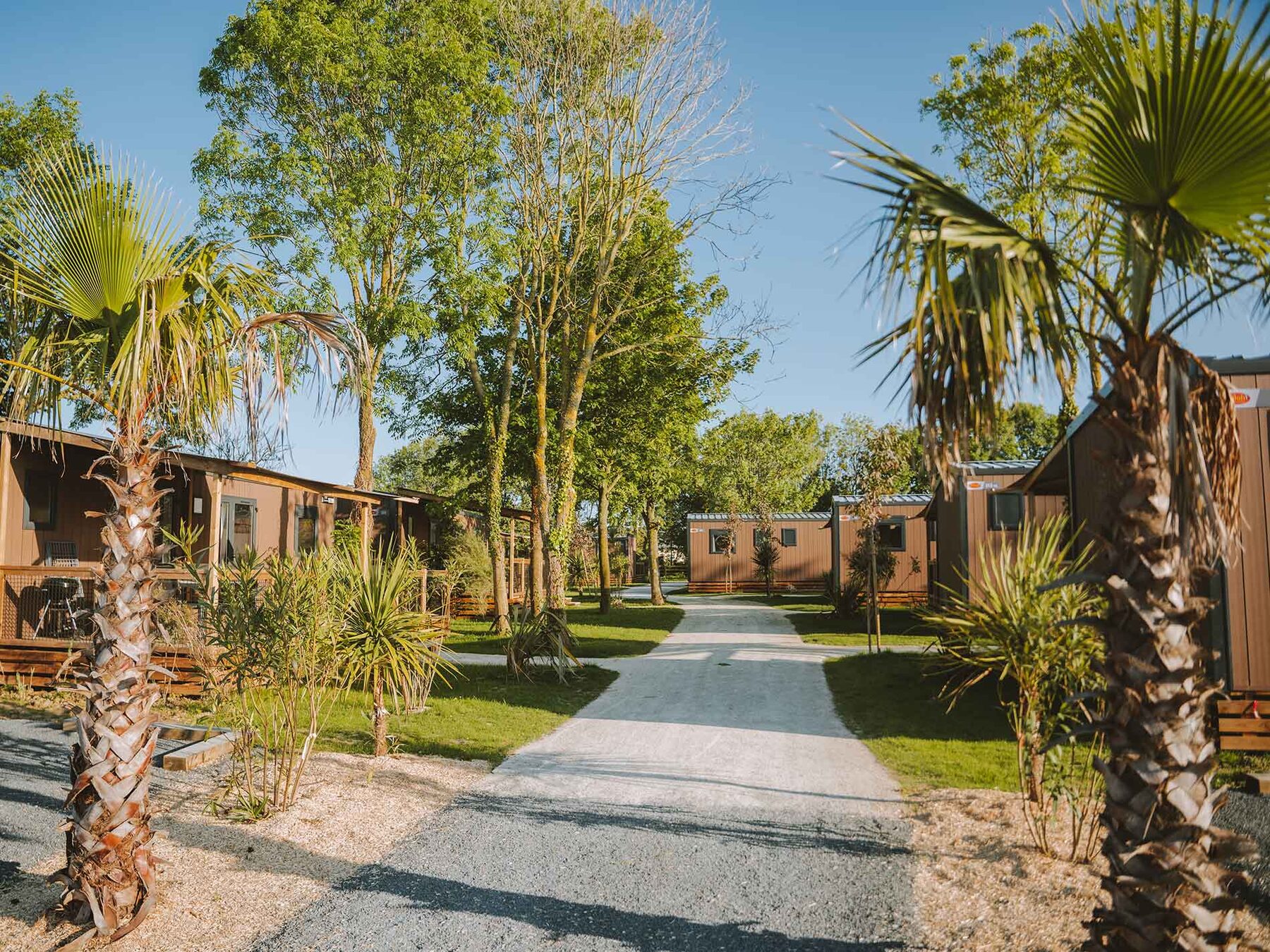 Premium-cottage voor 6 personen op Camping Portland, foto 8 van 14
