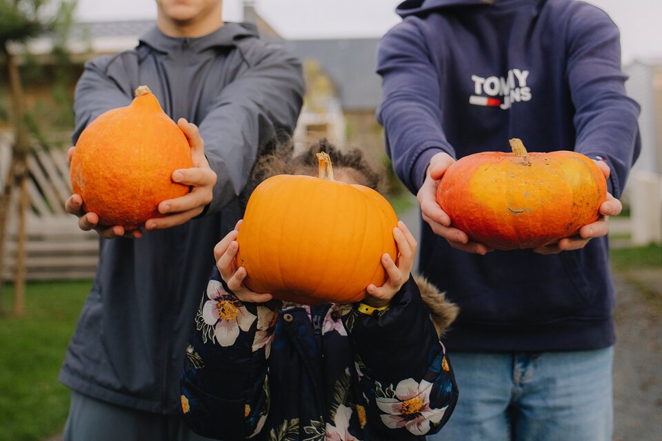 Citrouilles d’Halloween au camping Portland