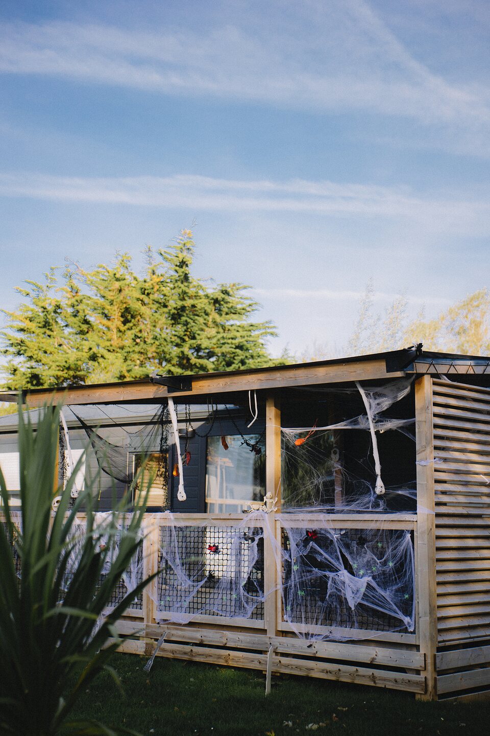 Cottage décoré de toiles d’araignée pour Halloween