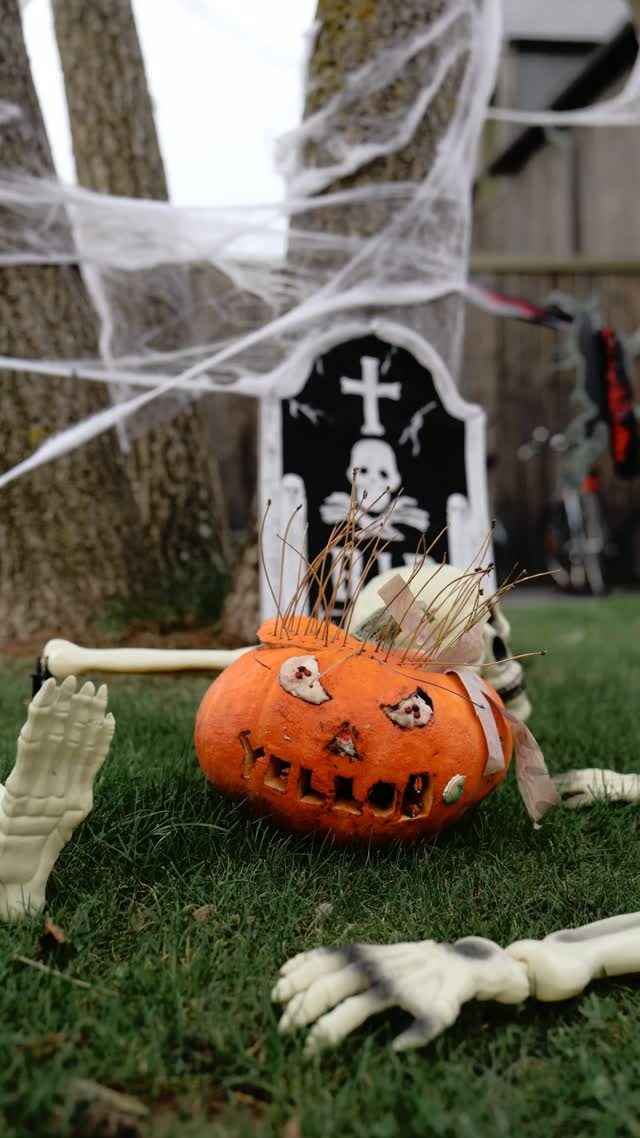 C’est l’heure de préparer votre citrouille 🎃 Au Yelloh Village Portland, on a déjà commencé ! Et vous, quel…